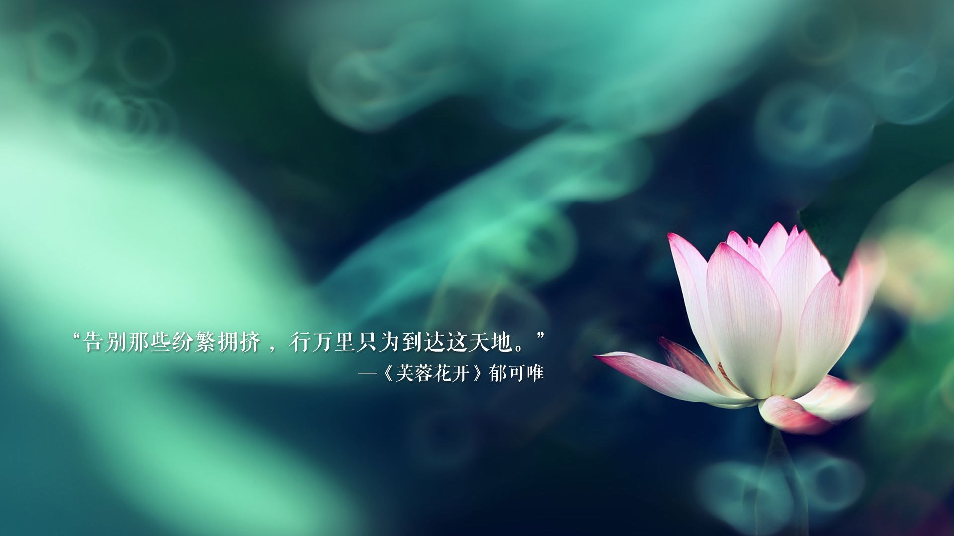 海洋生态保护绘画图片素材高清（海洋生态保护海报）