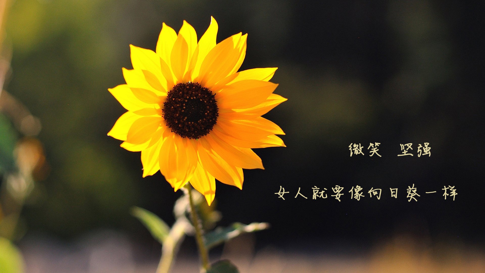 船舶与海洋工程前沿技术有哪些（船舶与海洋工程前景）